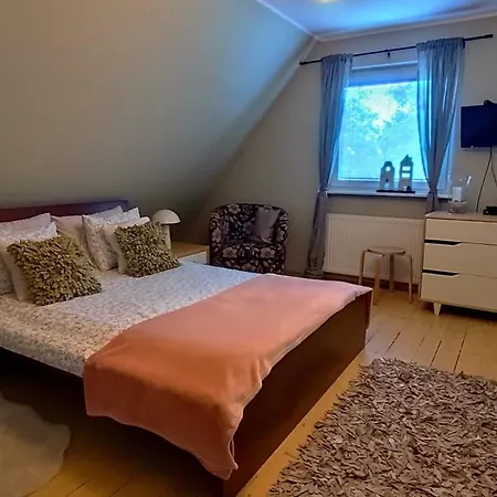 Cherry Tree Cozy Homestay